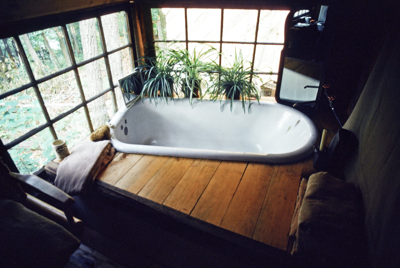 Bathtub with a View The Shelter Blog