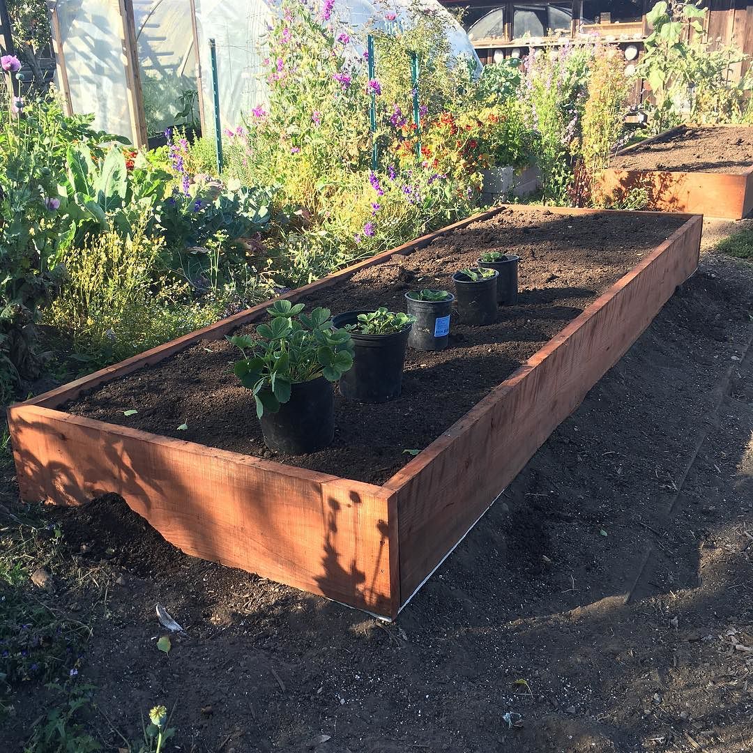 Raised Beds in Garden, 4′×12′, 12″ Deep The Shelter Blog